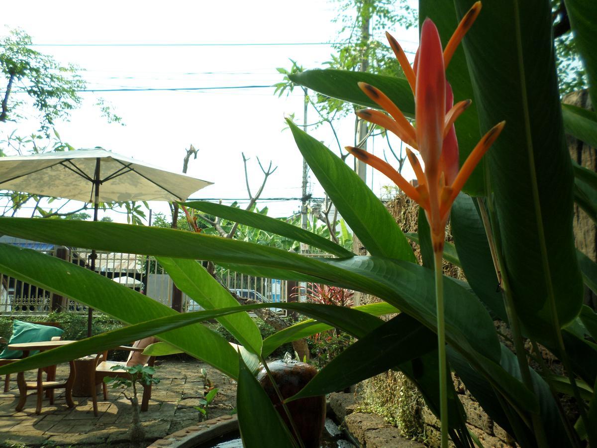 Baanwealaa Guesthouse (Adults Only) شيانغ ماي المظهر الخارجي الصورة